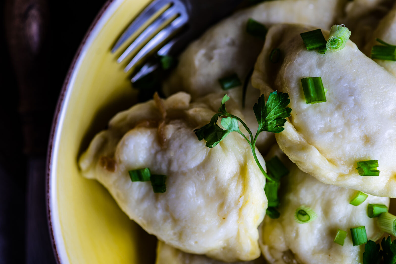 Gastronomsko putovanje kroz Poljsku: U potrazi za tajnom savršenih piroga